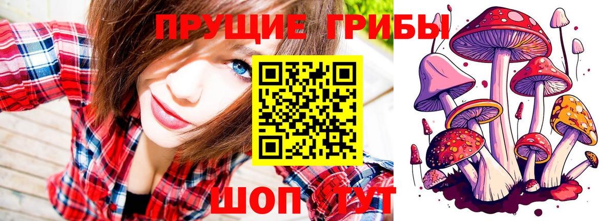 Галлюциногенные грибы GOLDEN TEACHER Солнечногорск